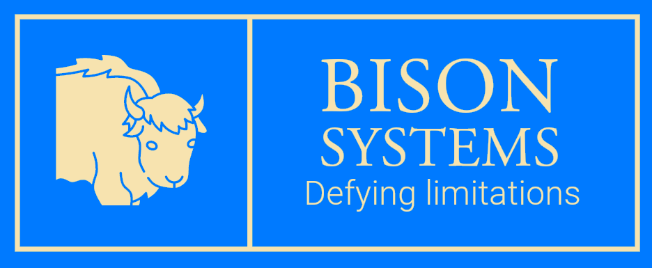 BISON SYSTEMS